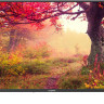 Телевизор DIGMA DM-LED43MBB21