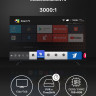 Телевизор Techno Smart KDG24GR680ANTS
