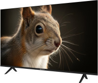 Телевизор TopDevice 43" SALUTE TV TDWC43BF4260V