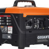 Генератор Gigant GPIGL-1000О