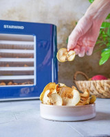 Сушилка для овощей и фруктов StarWind SFD6431