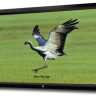 Проекционный экран SeeMax Highland frame MW 305x229 (4:3)