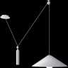 Подвесная люстра Maytoni Peso P080PL-01W