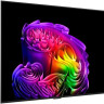 Телевизор LG OLED evo AI G6 OLED55G6RLA