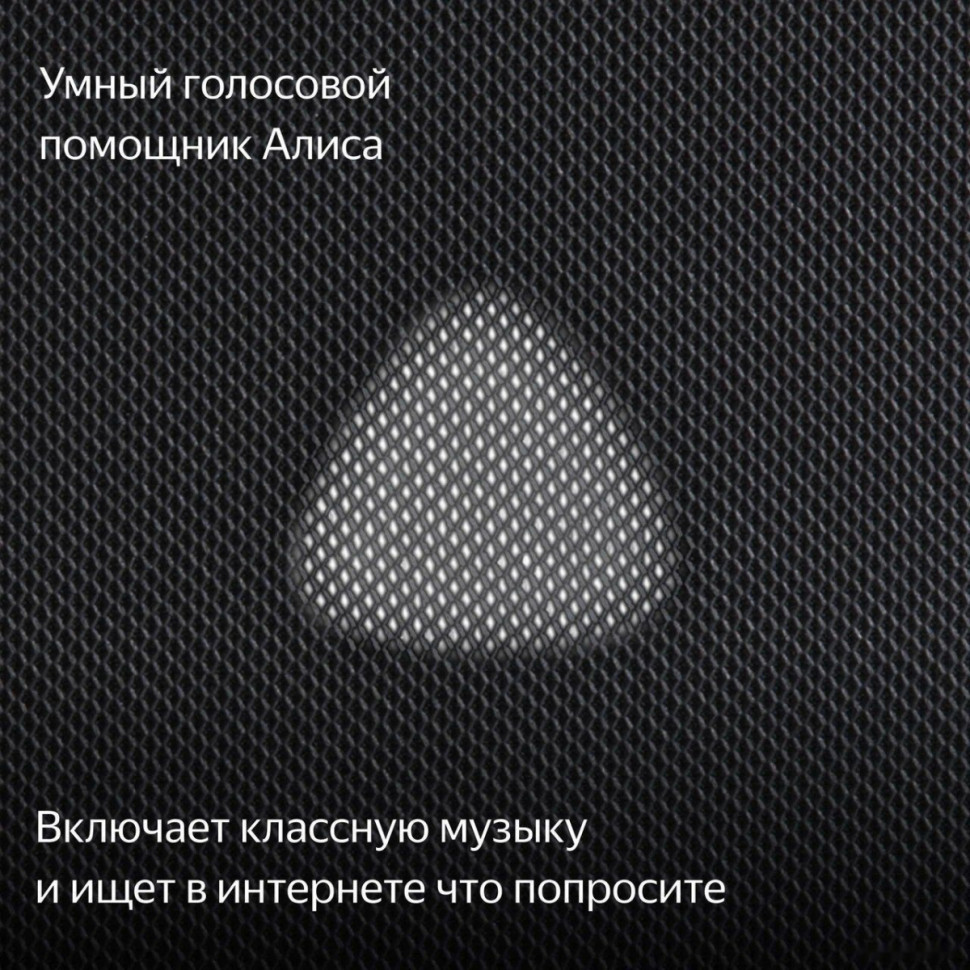 Умная колонка Яндекс Станция Макс (с хабом умного дома Zigbee, графит)