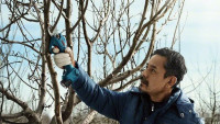 Секатор Bosch Pro Pruner Professional 06019K1021 (с 2-мя АКБ)