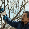 Секатор Bosch Pro Pruner Professional 06019K1021 (с 2-мя АКБ)