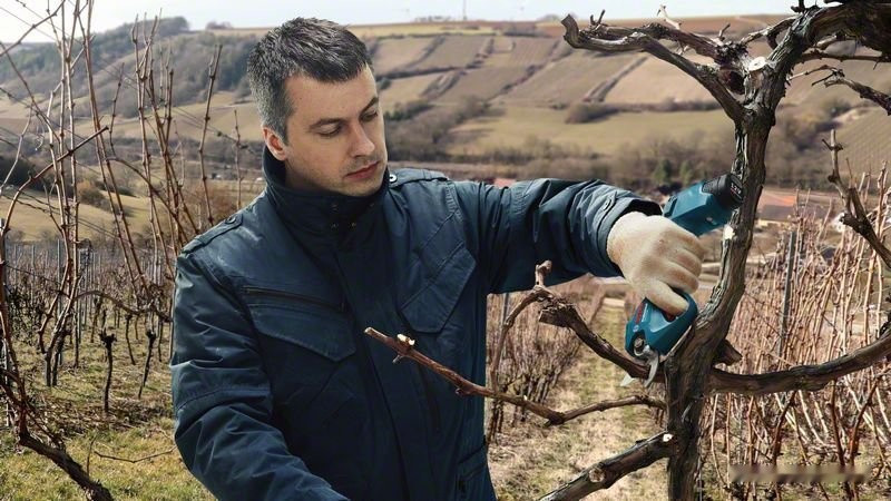 Секатор Bosch Pro Pruner Professional 06019K1021 (с 2-мя АКБ)