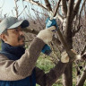 Секатор Bosch Pro Pruner Professional 06019K1021 (с 2-мя АКБ)