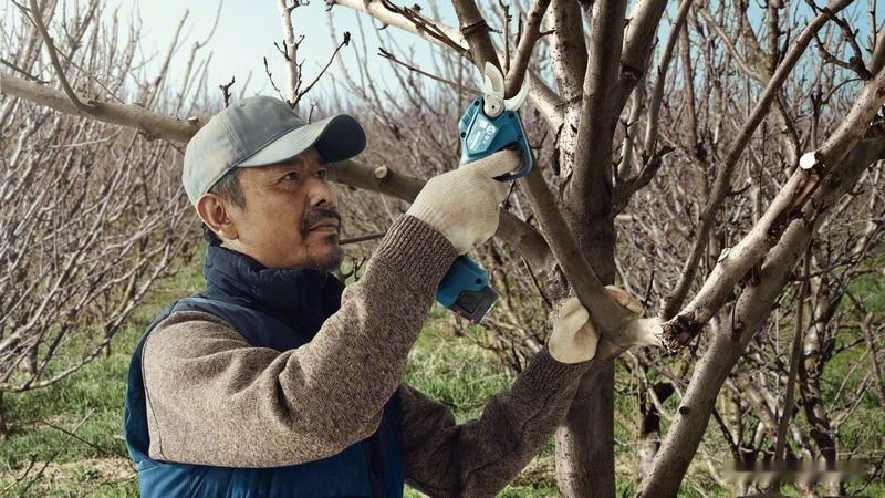 Секатор Bosch Pro Pruner Professional 06019K1021 (с 2-мя АКБ)