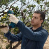 Секатор Bosch Pro Pruner Professional 06019K1021 (с 2-мя АКБ)