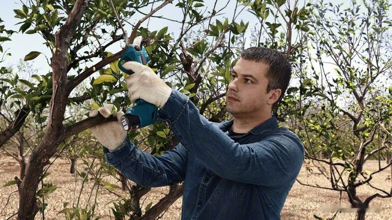 Секатор Bosch Pro Pruner Professional 06019K1021 (с 2-мя АКБ)