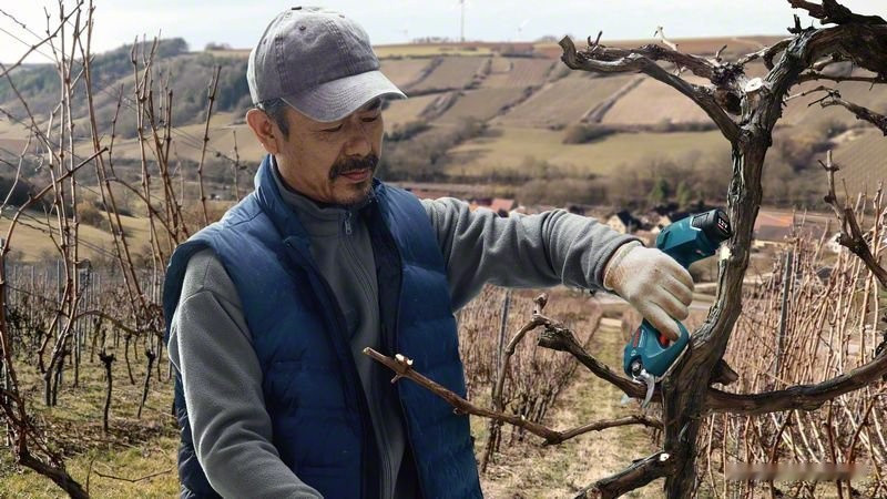 Секатор Bosch Pro Pruner Professional 06019K1021 (с 2-мя АКБ)