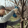 Секатор Bosch Pro Pruner Professional 06019K1021 (с 2-мя АКБ)