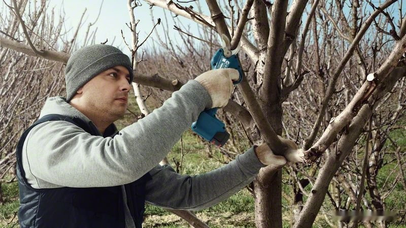 Секатор Bosch Pro Pruner Professional 06019K1021 (с 2-мя АКБ)