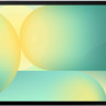 Планшет Samsung Galaxy Tab S10 FE+ 5G SM-X626 8GB/128GB (серебристый)