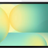 Планшет Samsung Galaxy Tab S10 FE+ 5G SM-X626 8GB/128GB (серебристый)