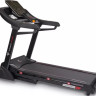 Беговая дорожка Titanium Masters Physiotech TLF