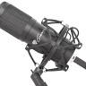 Микрофон Genesis Radium 400