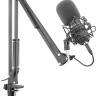 Микрофон Genesis Radium 400