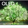 Телевизор LG OLED48A1RLA
