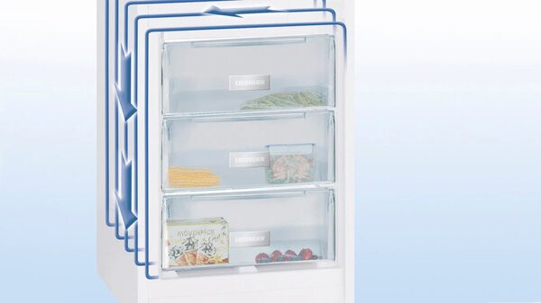 Холодильник Liebherr CTe 2931