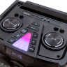 Патибокс AIWA CAS-1031