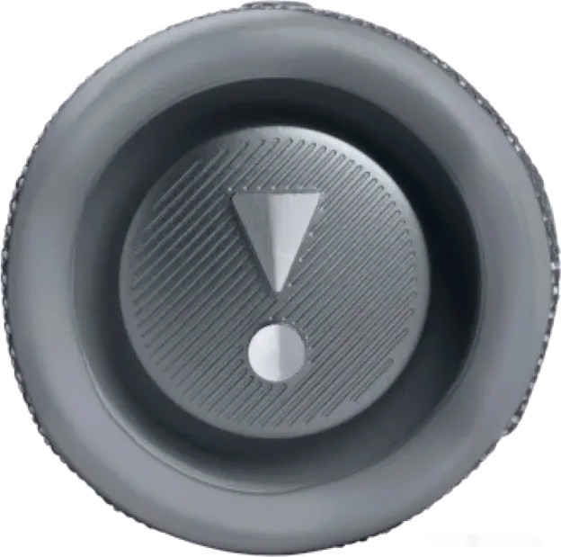 Портативная акустика JBL Flip 6 (серый)