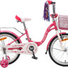 Детский велосипед DELTA Butterfly 2007 20 (розовый)