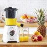 Блендер Moulinex Blendforce Powelix LM42Q110