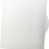 Вытяжная вентиляция AirRoxy dRim 125HS-C177