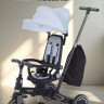 Детский велосипед MOWbaby Trixie MC055 (серый)