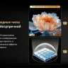 Телевизор Skyworth 75X66H