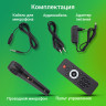 Колонка для вечеринок DIGMA D-MC1750
