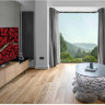 Телевизор LG OLED55BXRLB