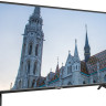 Телевизор Prestigio PTV40SN04Z (черный)