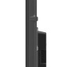 Телевизор Skyworth 50Q67G