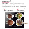 Варочная панель Hansa BHI67116
