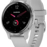 Умные часы Garmin Venu 2S (нержавеющая сталь/серый)