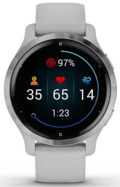 Умные часы Garmin Venu 2S (нержавеющая сталь/серый)