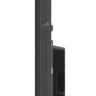 Телевизор Skyworth 65Q67G
