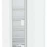 Однокамерный холодильник Liebherr Rf 5000 Pure 5000-20001