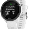 Умные часы Garmin Forerunner 55 (белый)