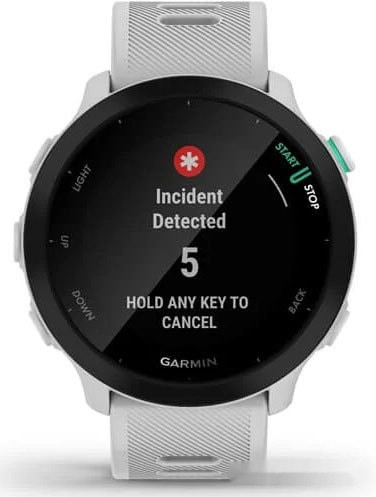 Умные часы Garmin Forerunner 55 (белый)