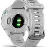 Умные часы Garmin Forerunner 55 (белый)