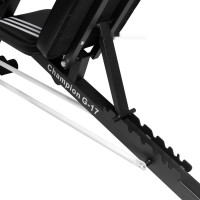 Силовая скамья Alpin Champion G-17