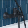 Смеситель Damixa Alder 641000300 (черный)