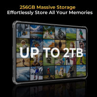 Планшет Oukitel RT8 (черный)