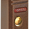 Видеодомофон Ginzzu DP-0701