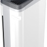 Очиститель воздуха Thermex Griffon 500 Wi-Fi